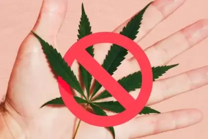 arrêt du cannabis par l hypnose